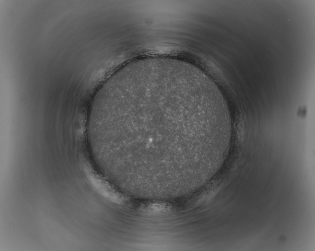 X0000112470546200909071136