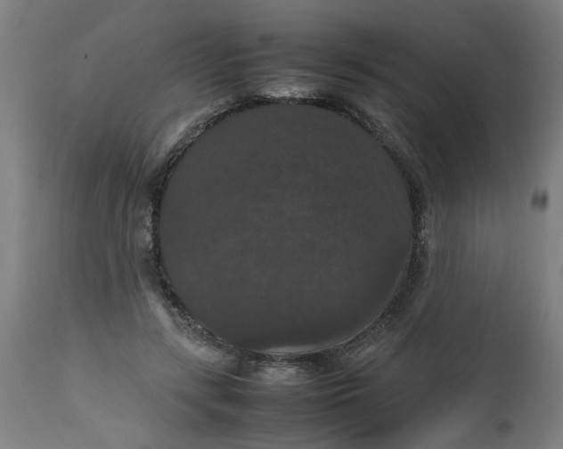 X0000112470547200909071136