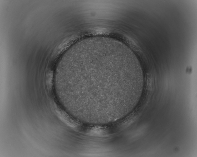 X0000112470550200909071136