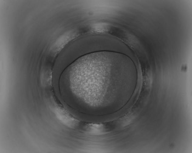 X0000112470552200909071136