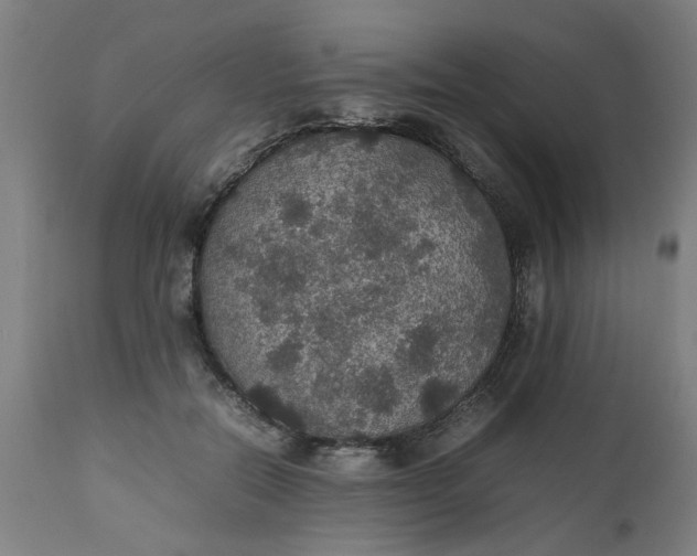 X0000112470554200909071136