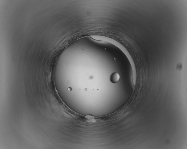 X0000112470558200909071136