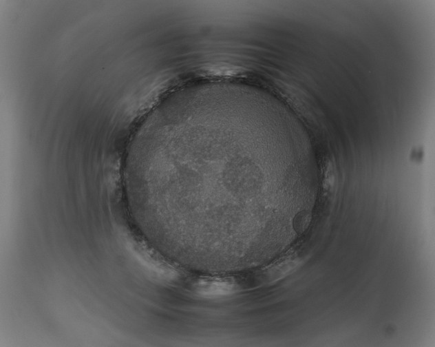 X0000112470559200909071136