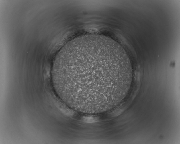 X0000112470561200909071136