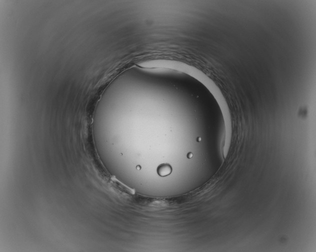 X0000112470562200909071136