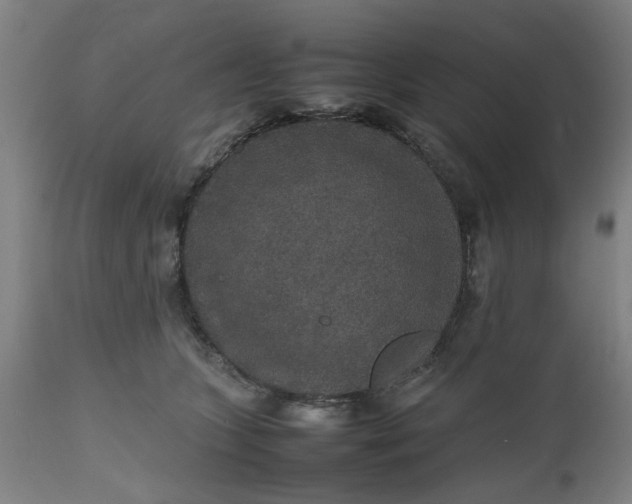 X0000112470563200909071136