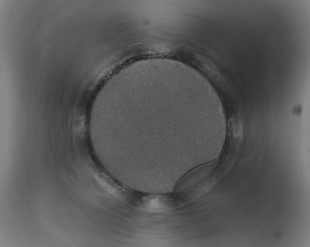 X0000112470564200909071136