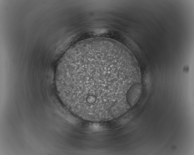 X0000112470565200909071136