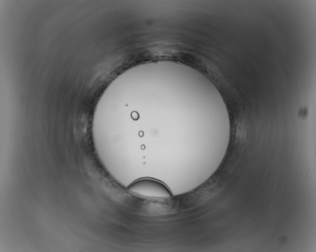 X0000112470567200909071136