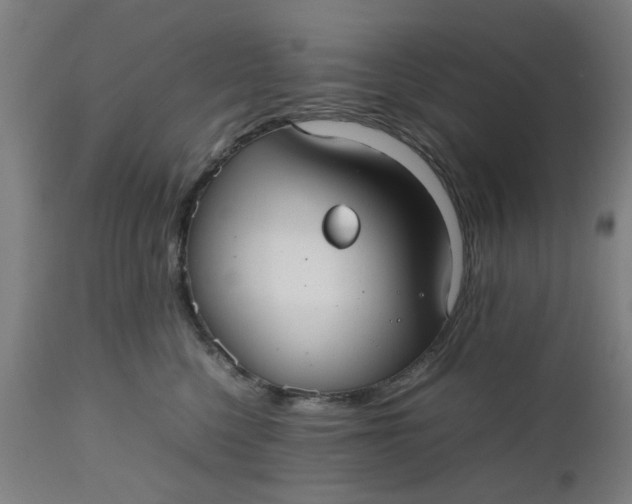 X0000112470568200909071136