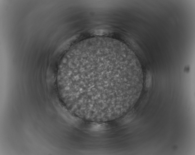 X0000112470569200909071136