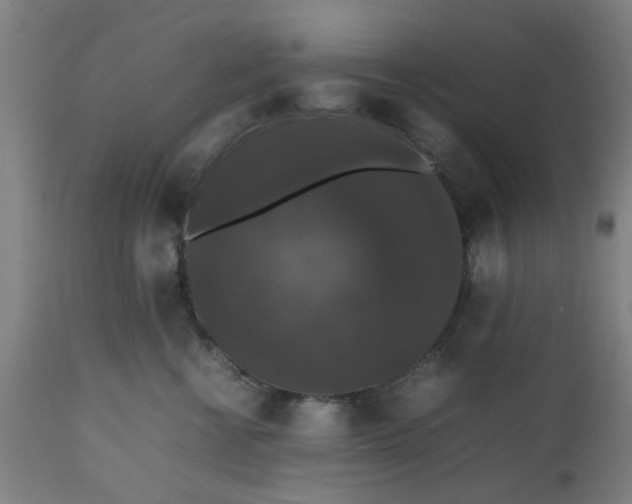 X0000112470570200909071136