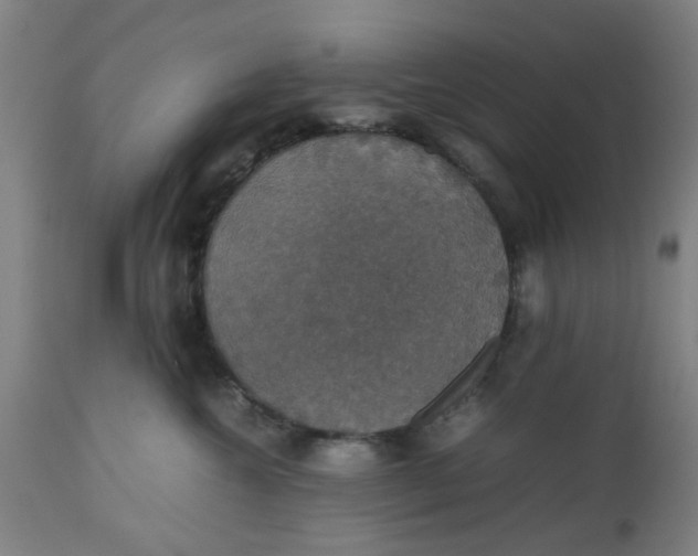 X0000112470572200909071136