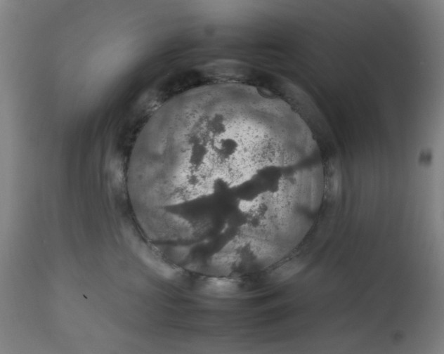 X0000112470573200909071136