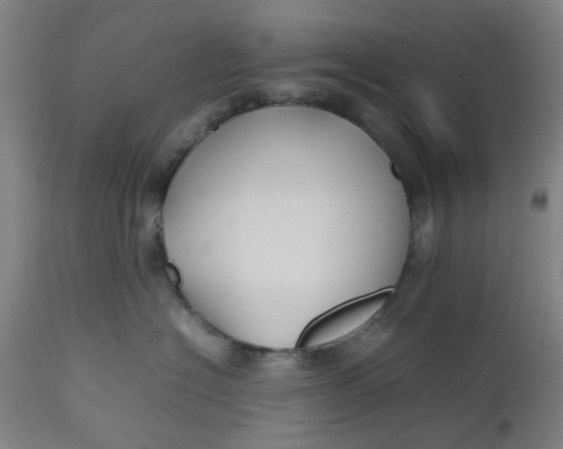 X0000112470574200909071136