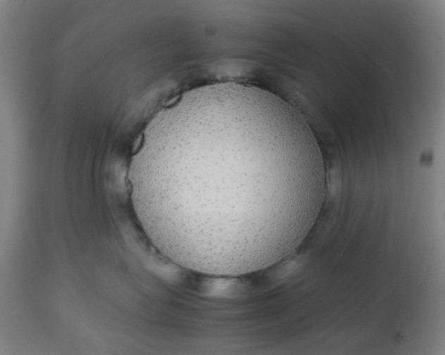 X0000112470575200909071136