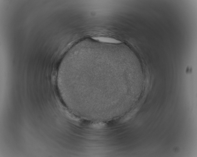 X0000112470576200909071136