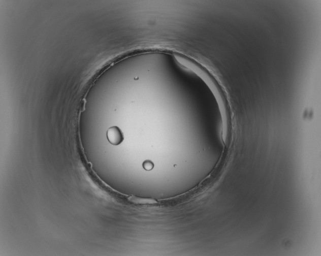 X0000112470577200909071135