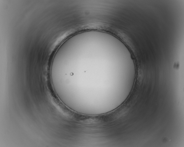 X0000112470578200909071135