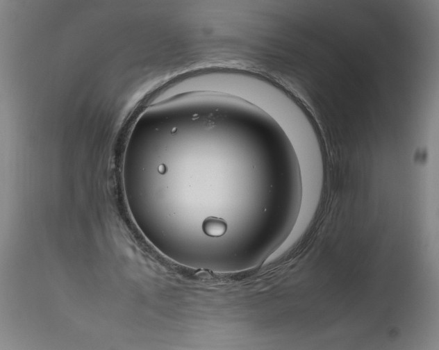 X0000112470579200909071135