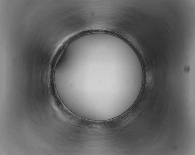 X0000112470580200909071135