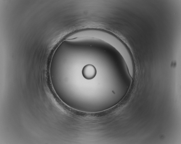 X0000112470581200909071135