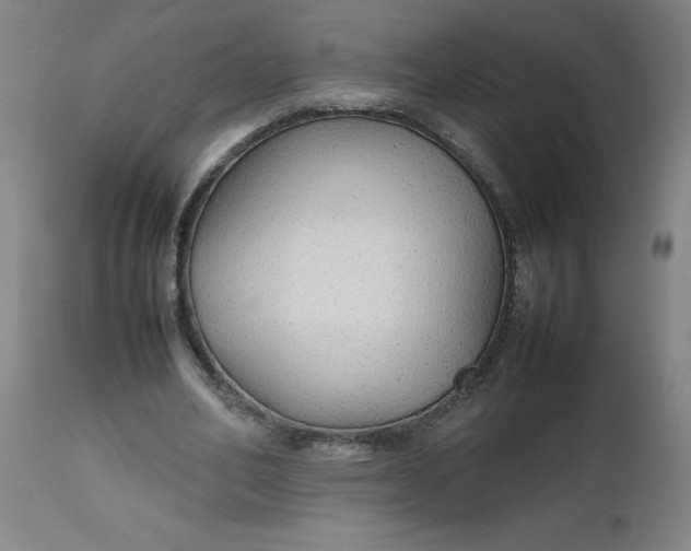 X0000112470582200909071135