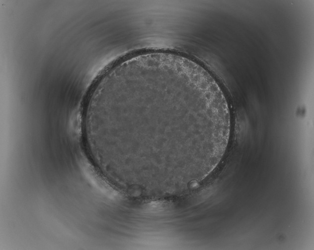 X0000112470584200909071135