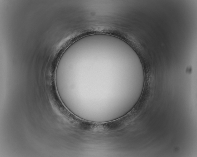 X0000112470587200909071135