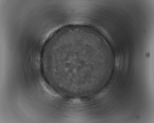 X0000112470588200909071135