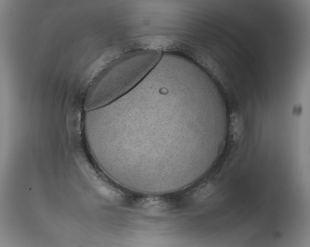 X0000112470589200909071135