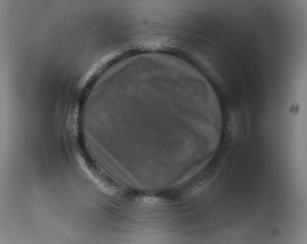 X0000112470590200909071135