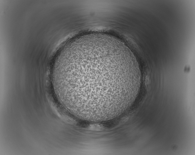 X0000112470591200909071135