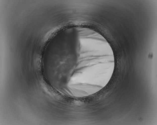 X0000112470592200909071135