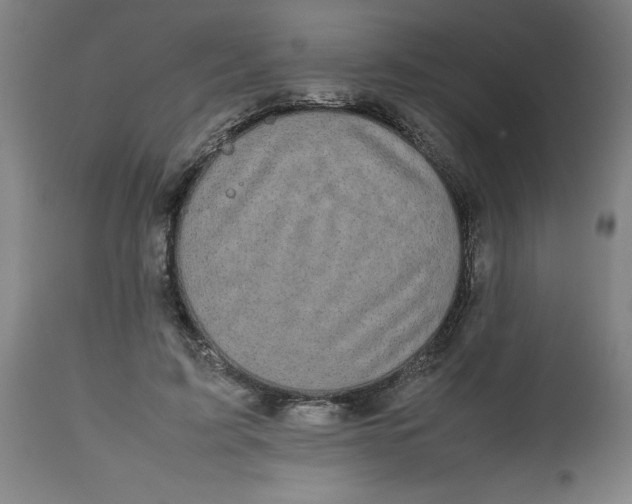 X0000112470595200909071135