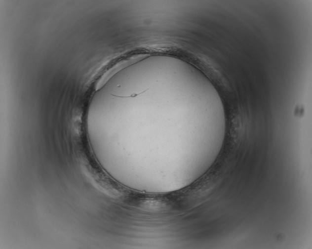 X0000112470596200909071135