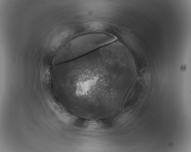 X0000112470597200909071135