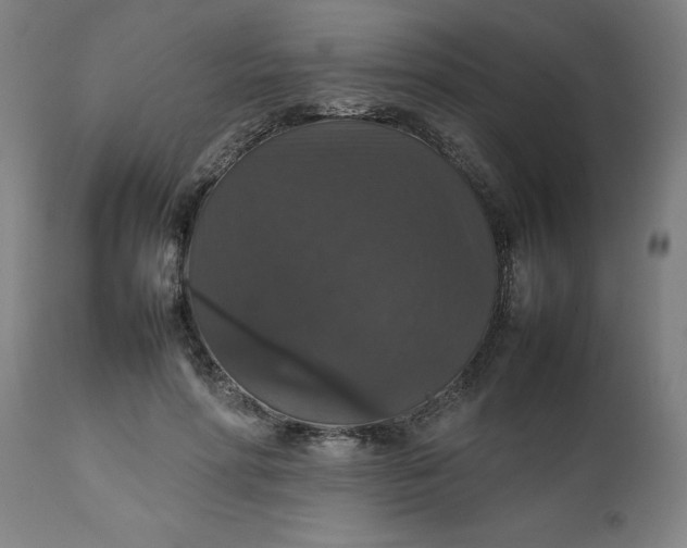 X0000112470598200909071135