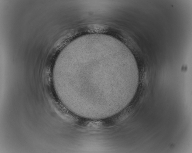 X0000112470599200909071135