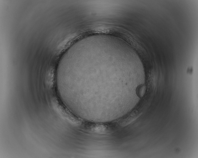 X0000112470600200909071135