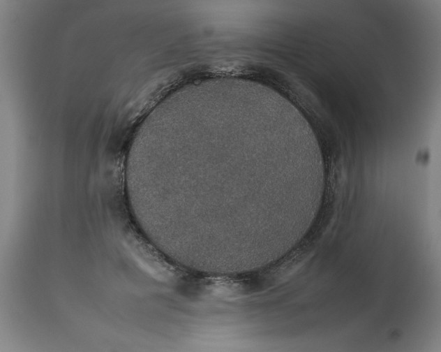 X0000112470601200909071135