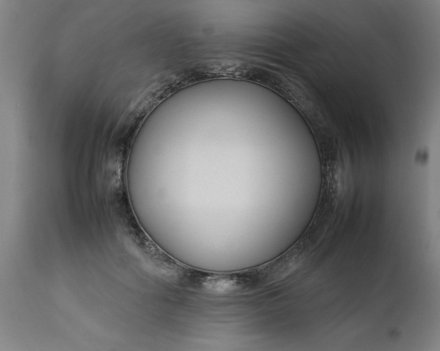 X0000112470602200909071135