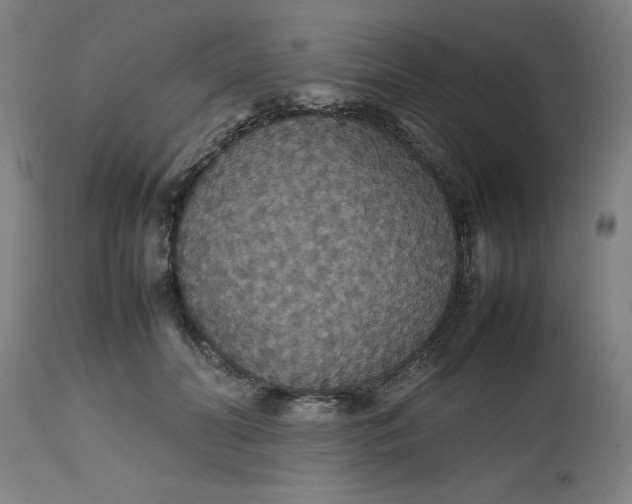 X0000112470606200909071135