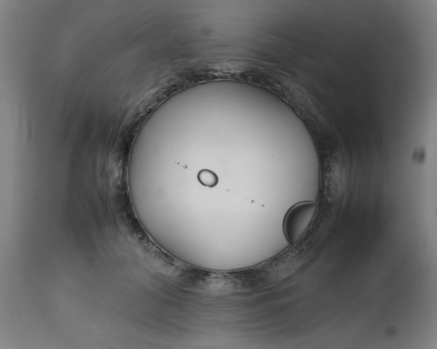 X0000112470608200909071135