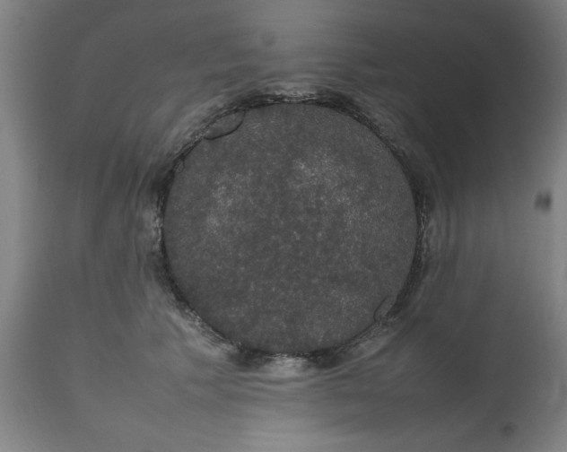 X0000112470609200909071135