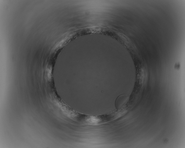 X0000112470610200909071135