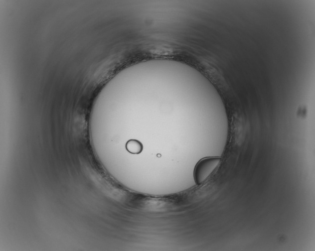 X0000112470614200909071135