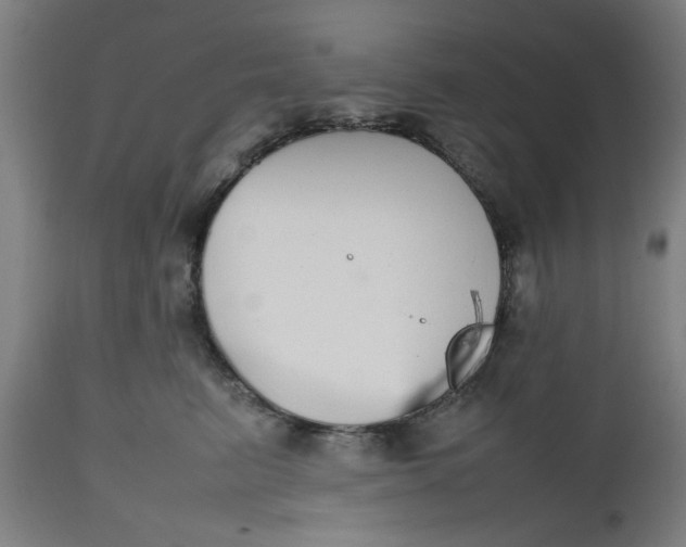 X0000112470615200909071135