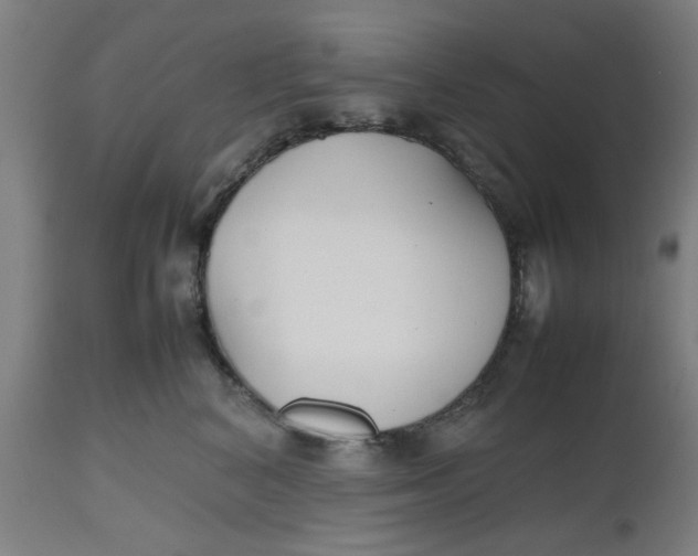 X0000112470616200909071135