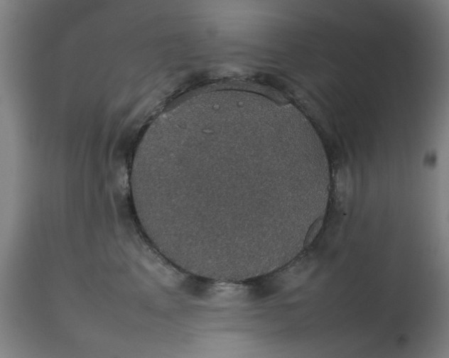 X0000112470617200909071135